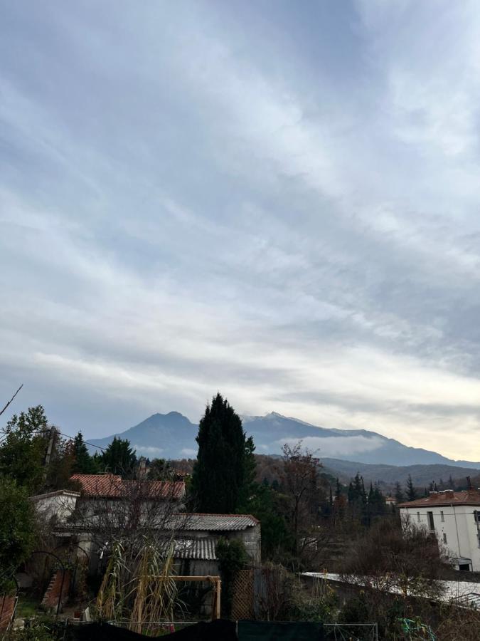Le Cosy En Coeur De Ville Prades  Bagian luar foto